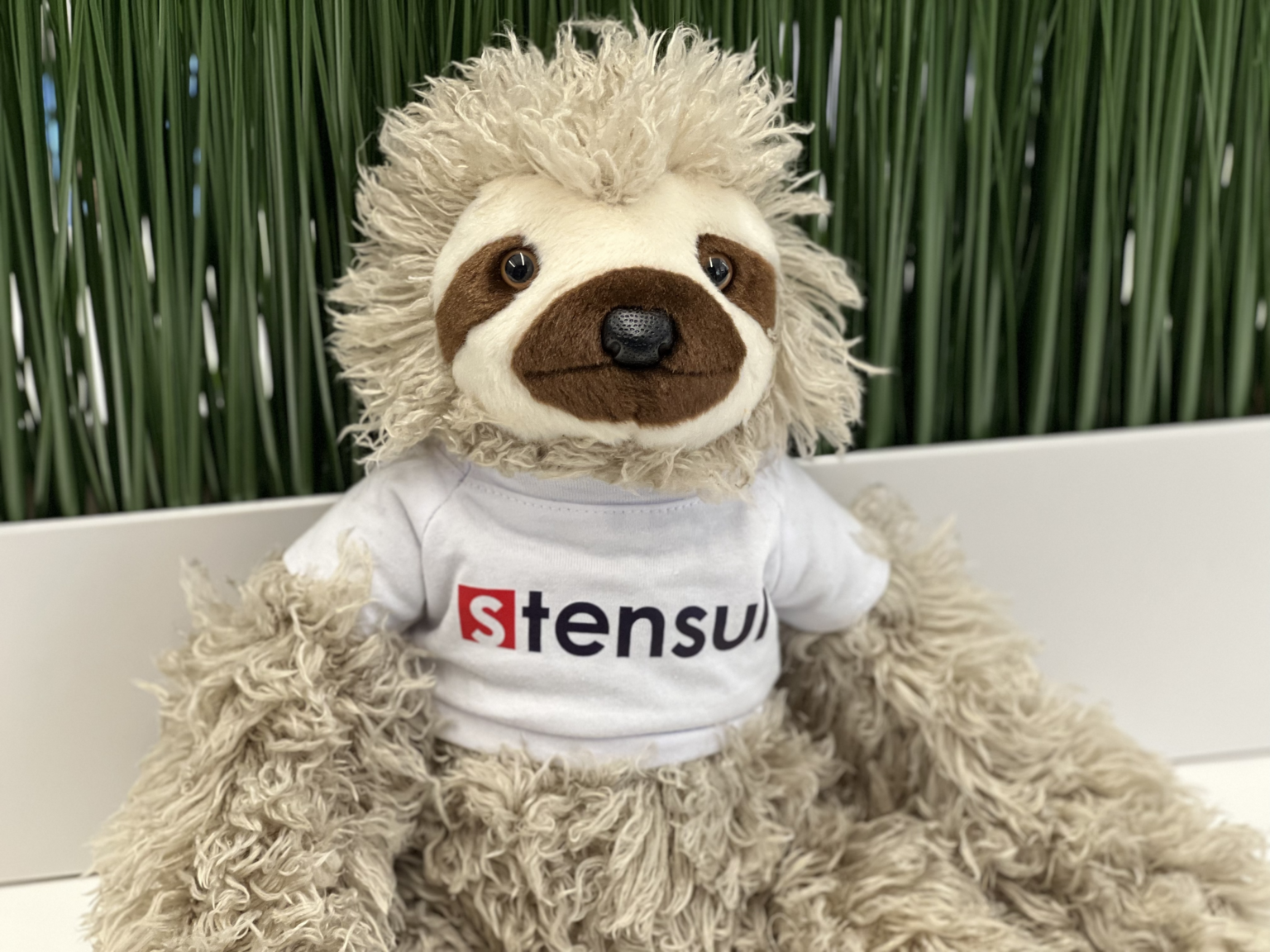Speedy the Sloth on how to spend a day in Buenos Aires