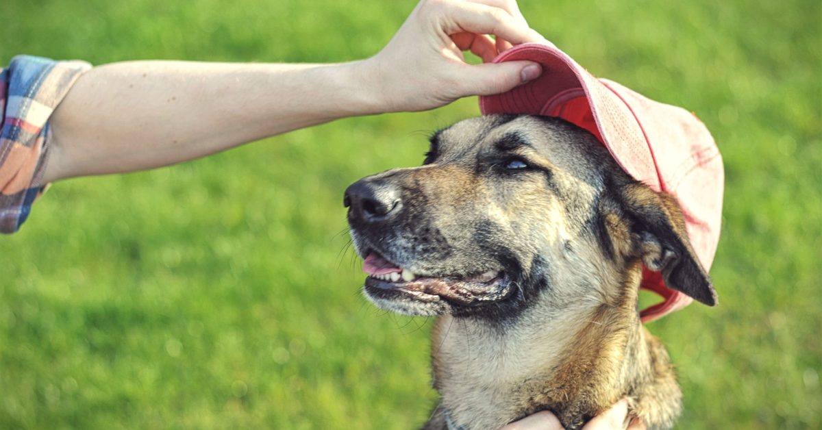 5e98bffd913fb931b2b361f8_agnieszka-boeske-375352-unsplash